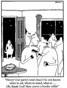 Screen Shot 2015-01-05 at 12.02.08 PM